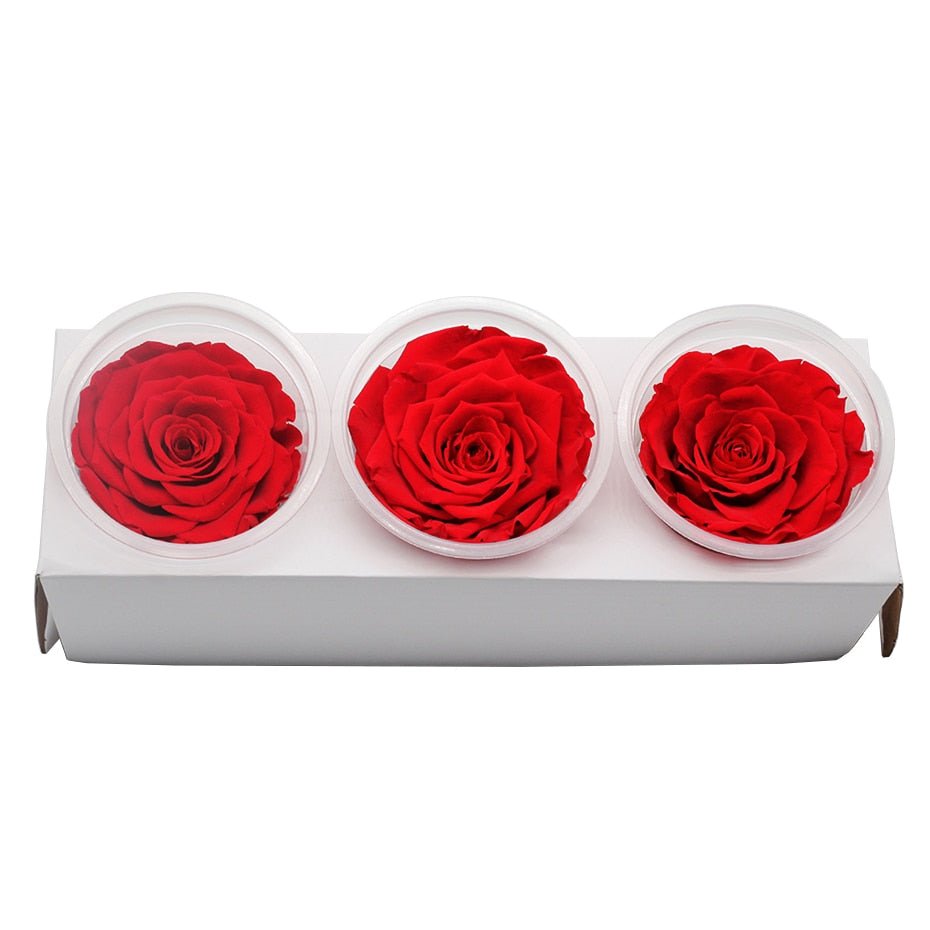 Eternal Roses Red Flower Box (Pack of 3) - Eternal Rose Store