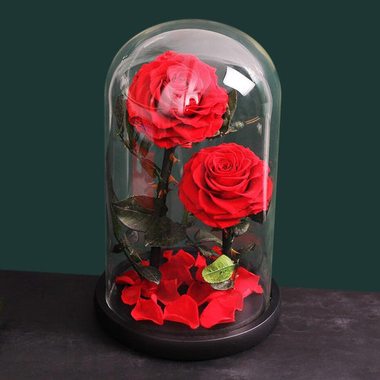 Eternal Roses Under Bell (Prenium) - Eternal Rose Store