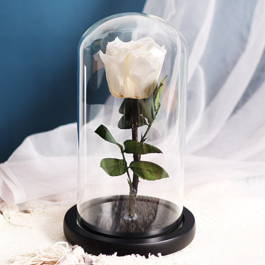 White eternal rose in glass bell