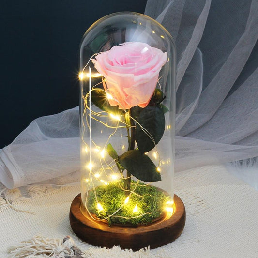 Eternal Rose Under Pink Light Bell - Eternal Rose Store