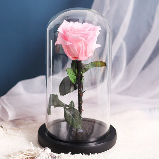 Eternal Rose Under Pink Color Bell - Eternal Rose Store