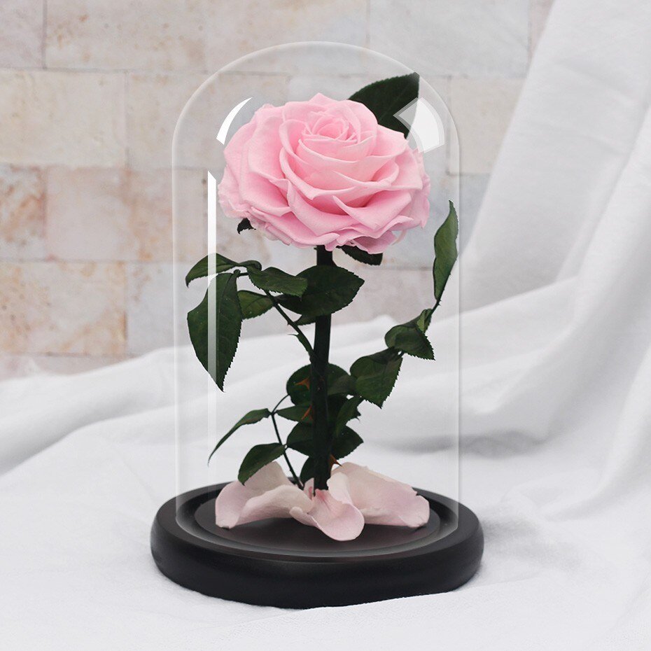 Supreme Eternal Rose (Choice of color) - Eternal Rose Store