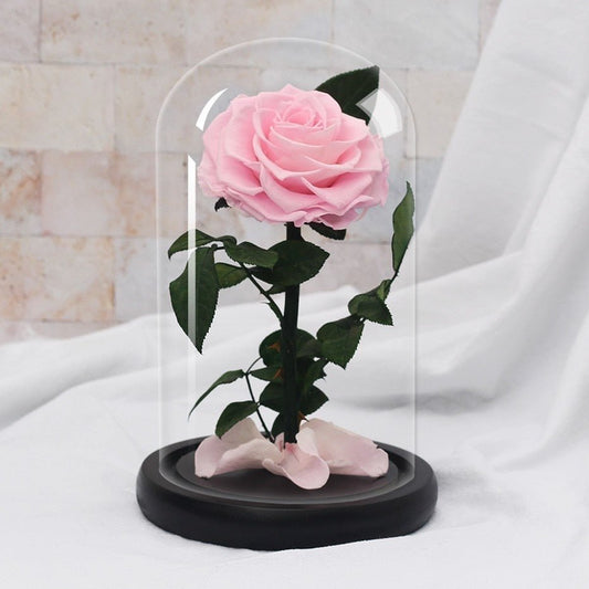 Eternal Rose Supreme Pink color - Eternal Rose Store