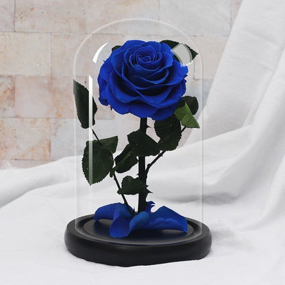 Supreme Eternal Rose (Choice of color) - Eternal Rose Store