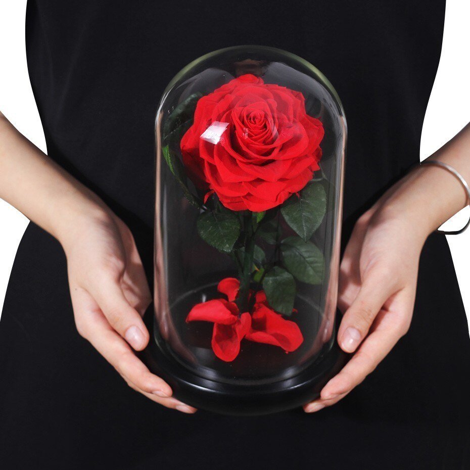 Supreme Eternal Rose (Choice of color) - Eternal Rose Store