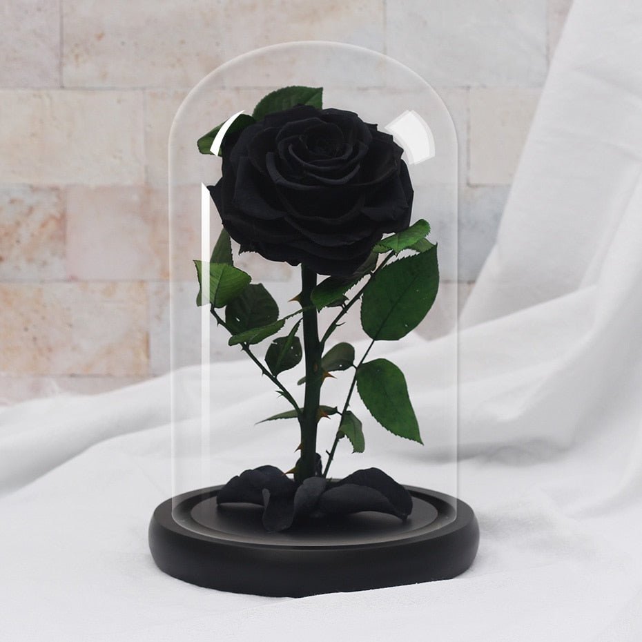 Supreme Eternal Rose (Choice of color) - Eternal Rose Store