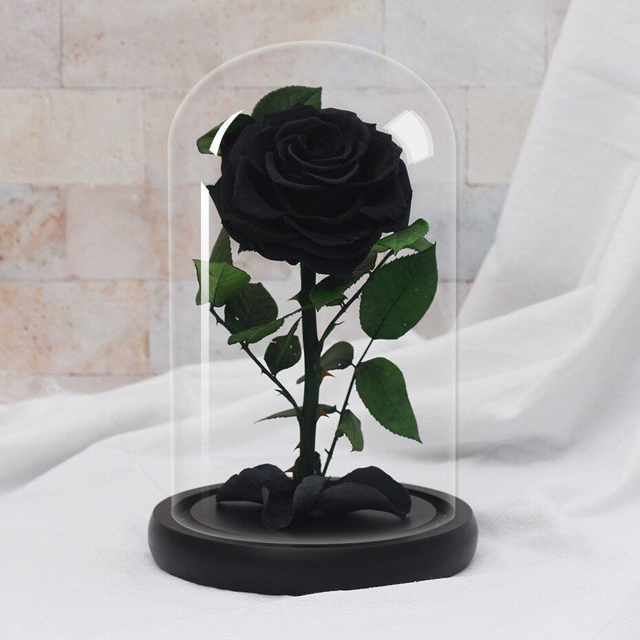 Supreme Eternal Rose (Choice of color) - Eternal Rose Store