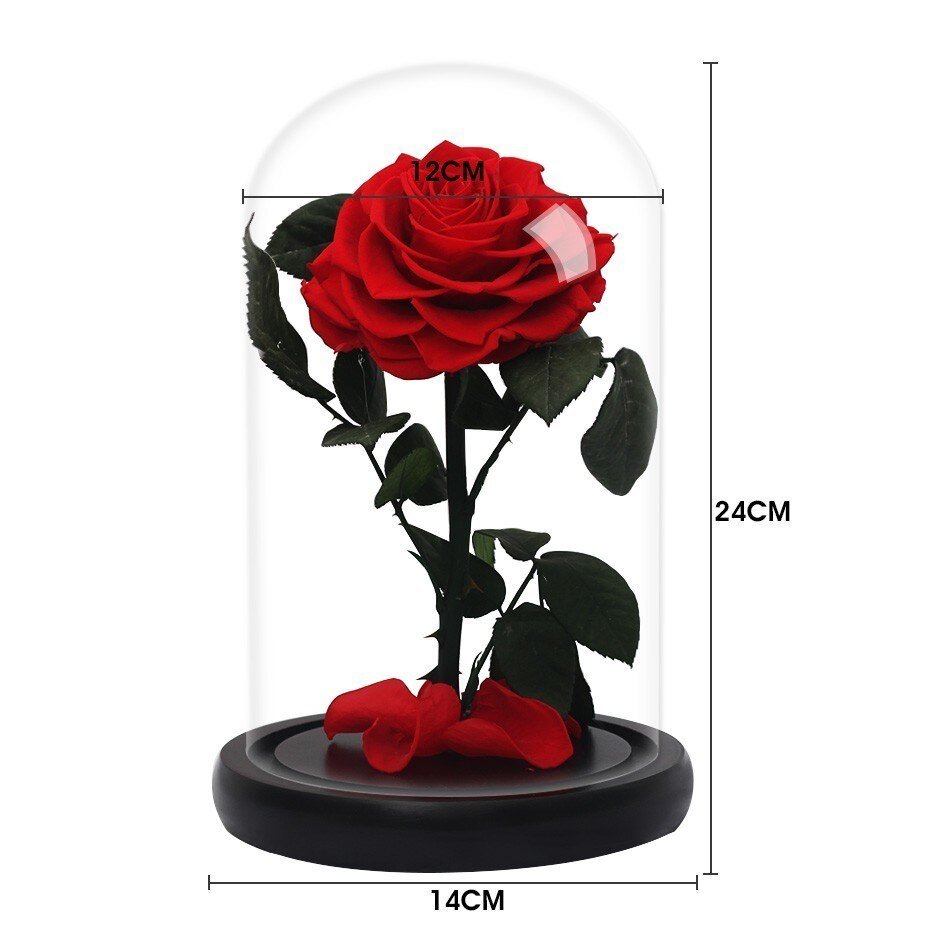 Supreme Eternal Rose (Choice of color) - Eternal Rose Store